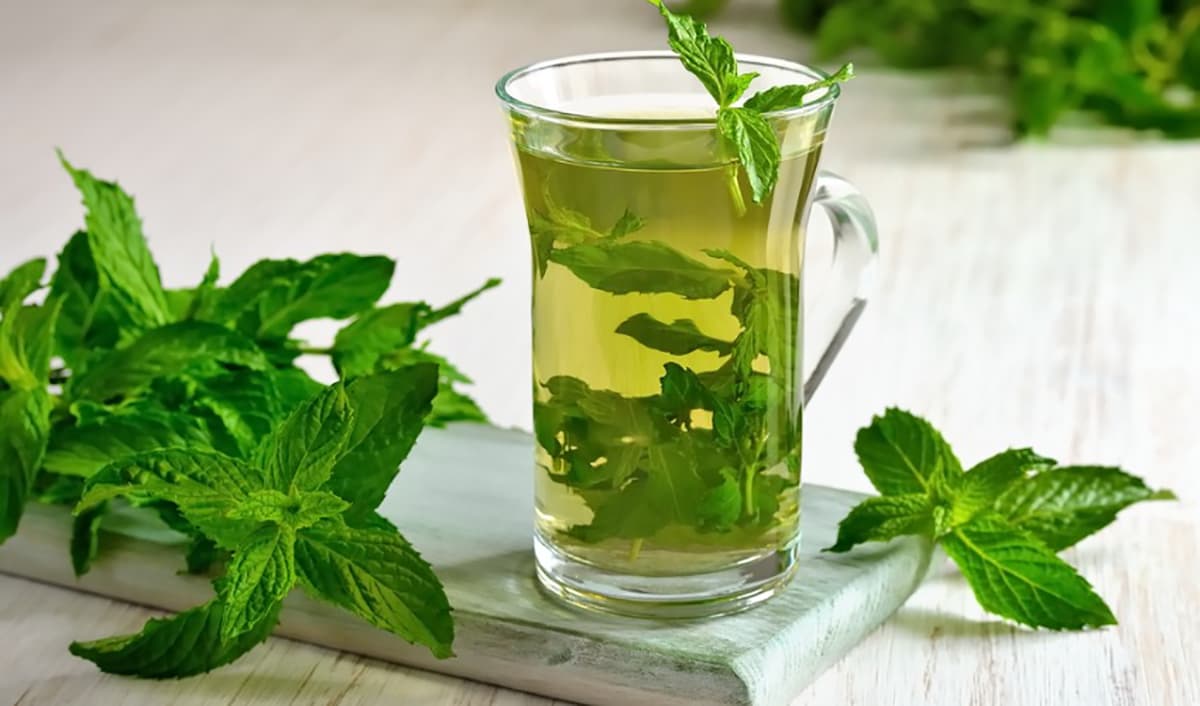 Green Tea as low fodmap drink
