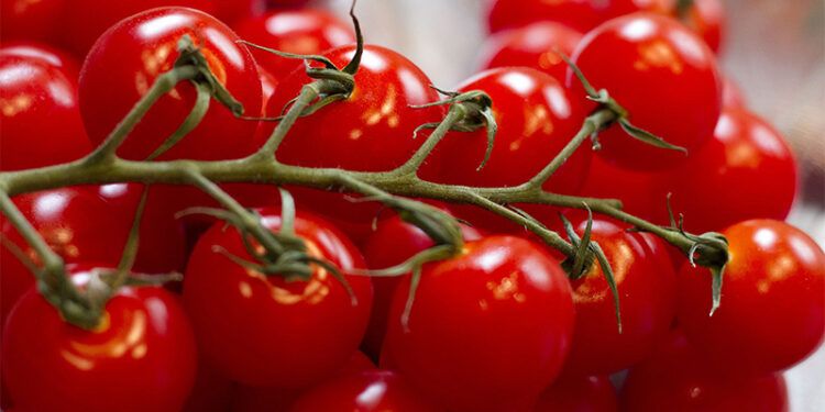 grape tomatoes
